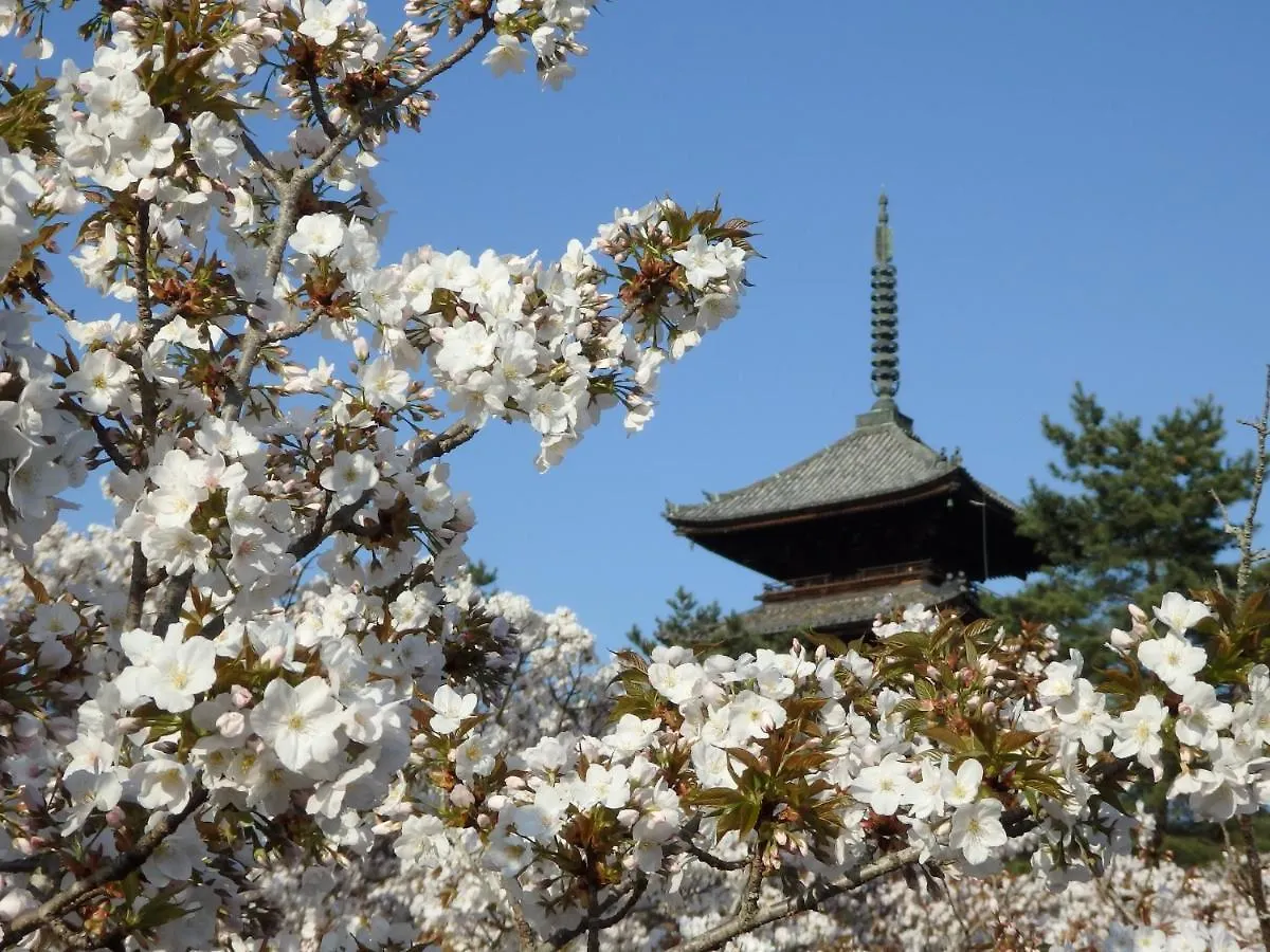 Stay Sakura Kyoto Tsubaki